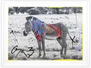 Arno Elias "Grevy's Zebra" Ltd Ed Signed Photo