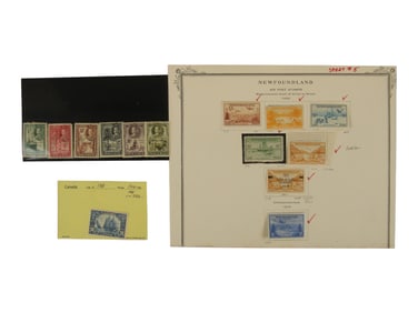 British Colonies Collection in Albums & Stock Book