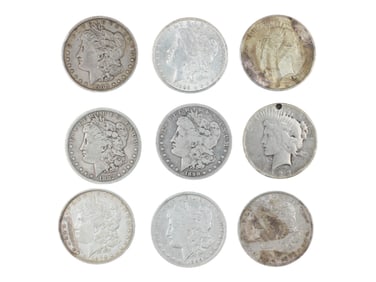 (9) Morgan and Peace Dollars