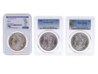 (3) Graded Morgan Dollars