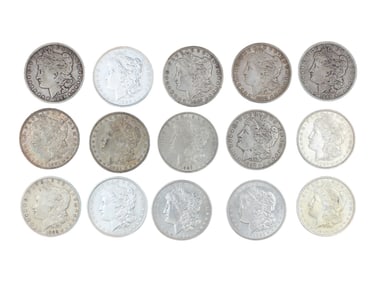 (15) Morgan Dollars