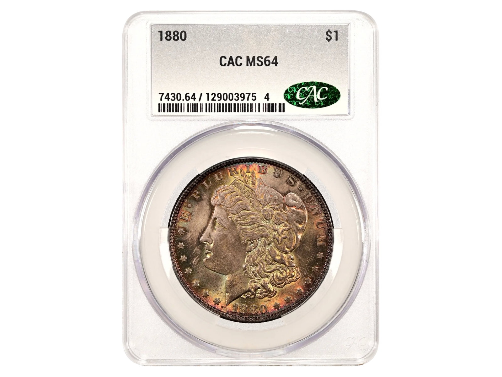 1880 $1 Toned Graded CAC MS64: 1880 Morgan Dollar graded CAC MS64 with toning. CAC #129003975. Shipping: Weiss Auctions offers full-service, in-house shipping for nearly all items in this auction. For a shipping quote, please conta