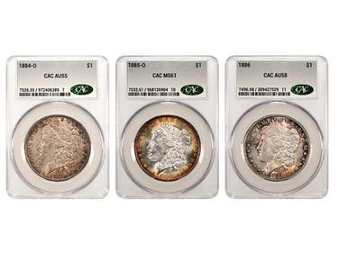 (3) CAC Graded Toned Morgan Dollars