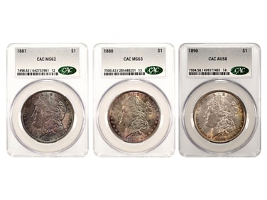 (3) CAC Graded Toned Morgan Dollars