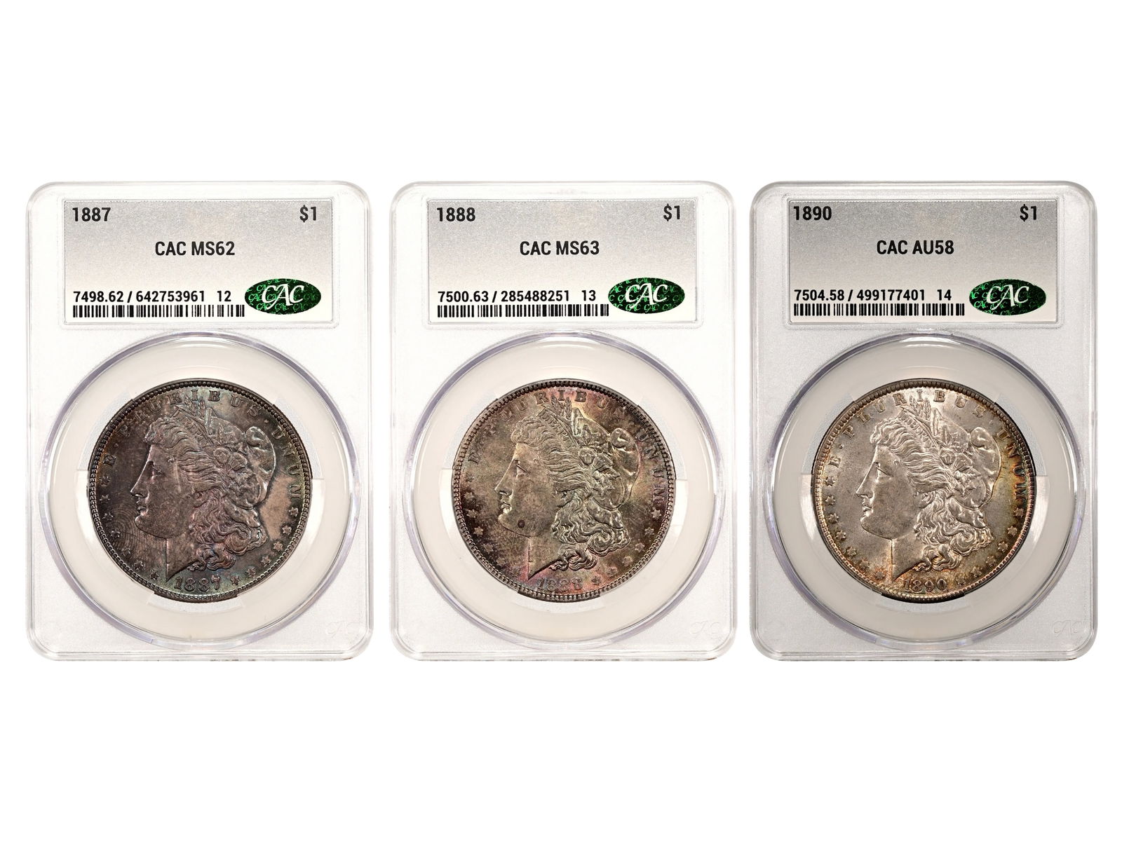(3) CAC Graded Toned Morgan Dollars (1 of 2)