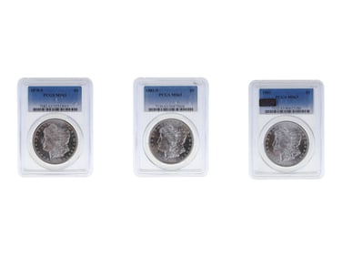 (3) Graded Morgan Dollars