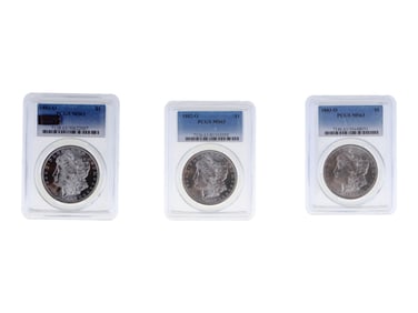 (3) Graded Morgan Dollars