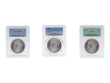 (3) Graded Morgan Dollars