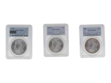 (3) Graded Morgan Dollars