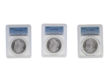 (3) Graded Morgan Dollars