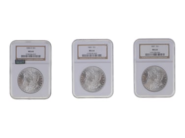 (3) Graded Morgan Dollars