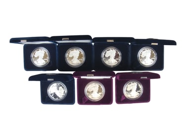 (7) American Silver Eagles