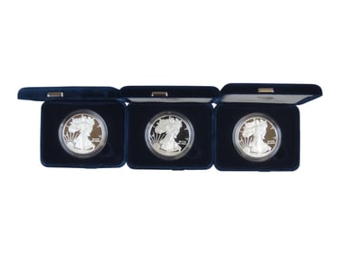 (7) American Silver Eagles