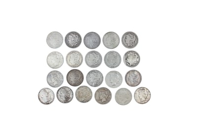 (21) Morgan and Peace Dollars