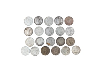(21) Morgan and Peace Dollars
