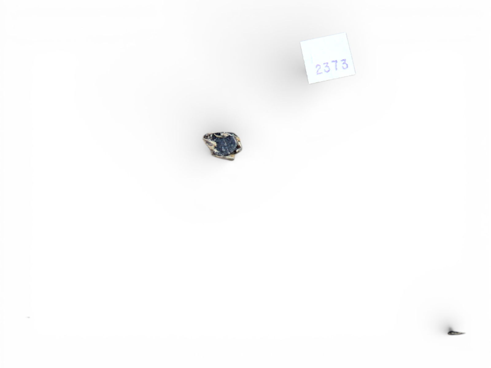 Elastolin or Lineol Trenches - 4