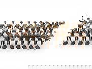 Elastolin Composition 105mm U.S. Band: Elastolin composition 105mm scale U.S. Band, 22 pieces. Some wear. Shipping: Weiss Auctions offers full-service, in-house shipping for nearly all items in this auction. For a shipping quote, please