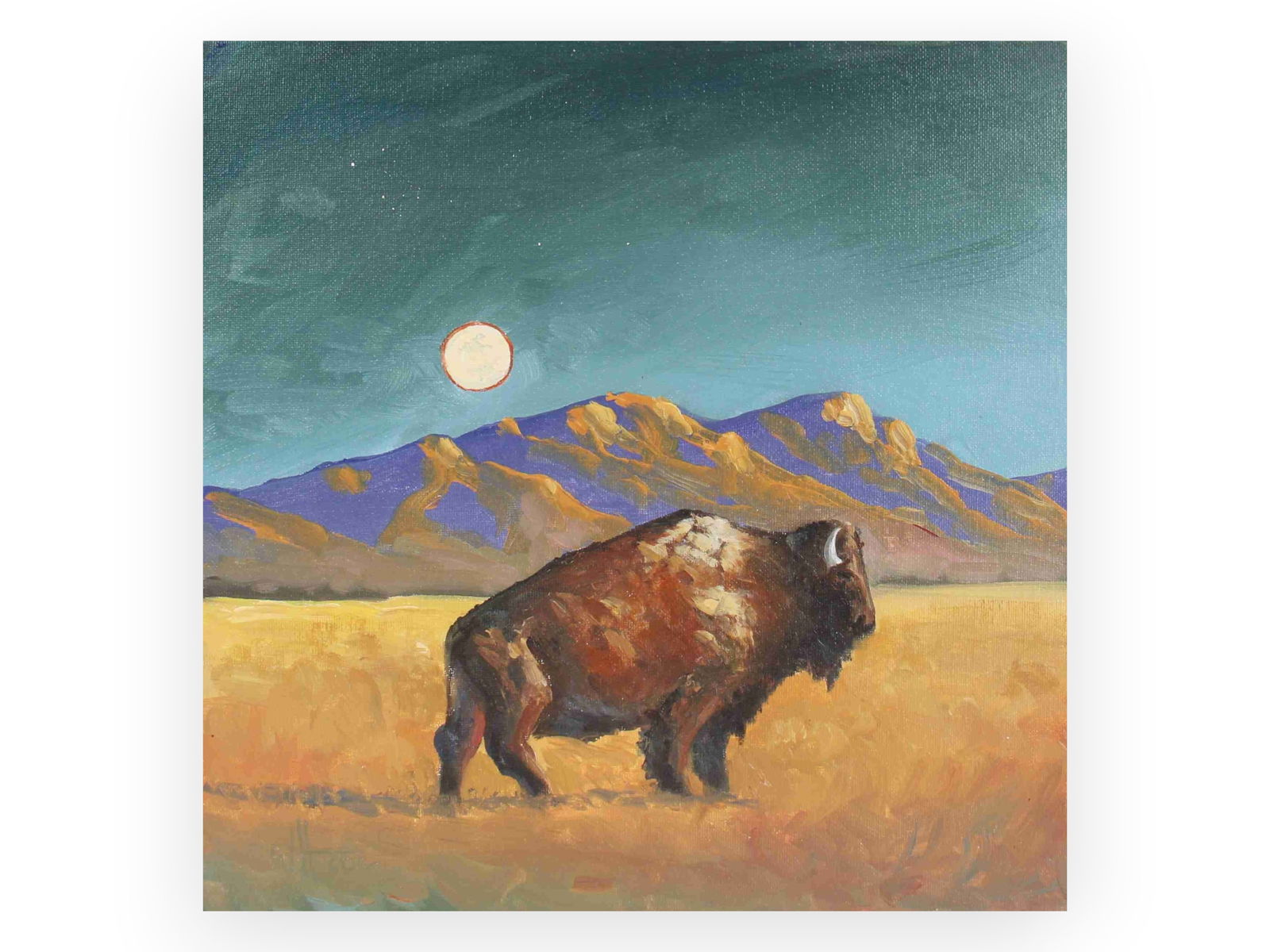 William Hawkins "Tucson" Arizona Bison, Oil: Oil on canvas board painting by William Hawkins (b.1962, AZ). "Tucson, 2013", great image depicting an Arizona Bison, 12 x 12 inches. Signed lower left. Titled and dated on verso. There is a small