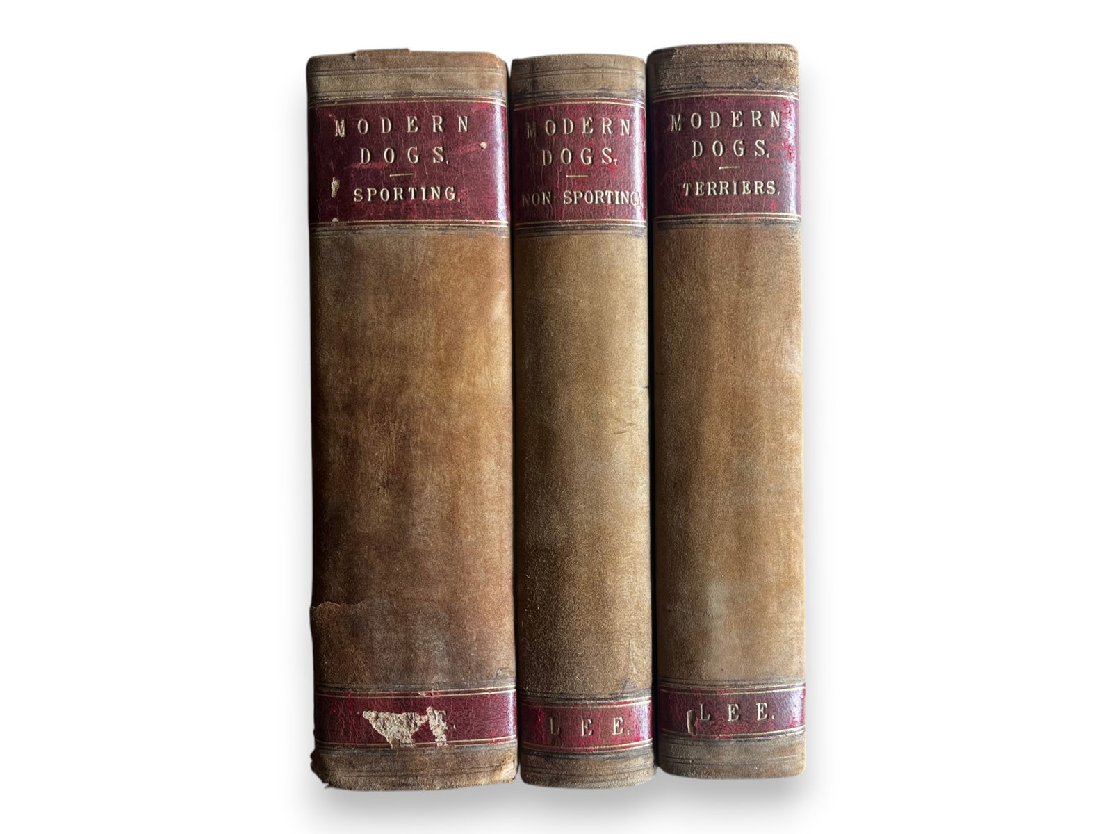 (3) Lee Modern Dogs 1893 1st Ed (1 of 2)