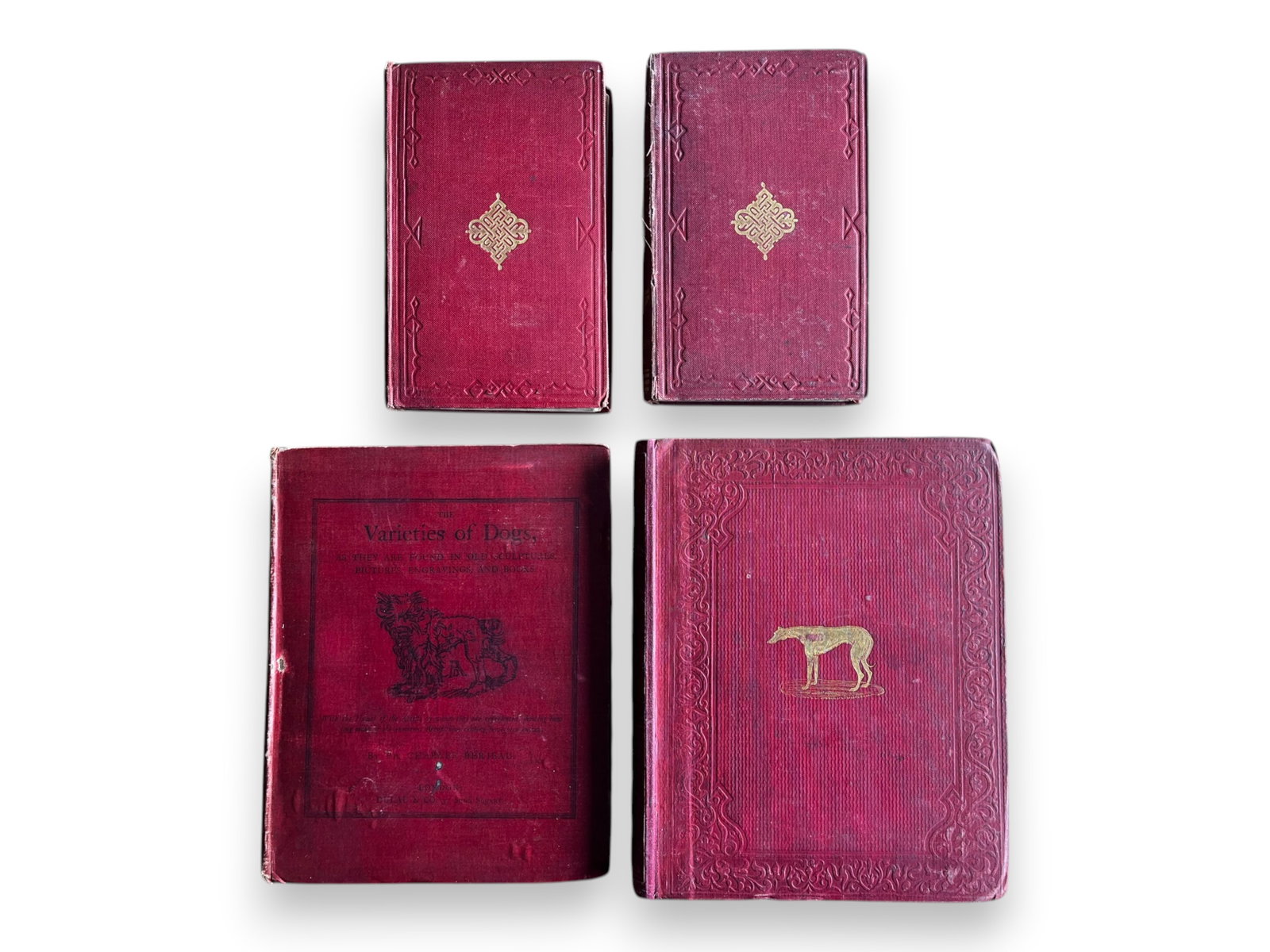 (13) Sporting & Dog Books Collection (1 of 15)