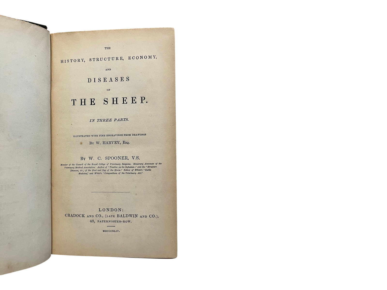 Spooner Sheep 1844 1st Ed (1 of 2)