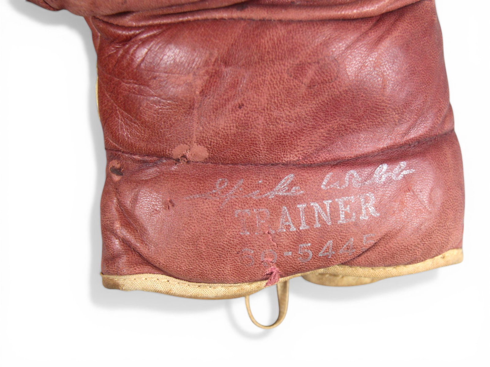 Spike Webb Boxing Trainer Gloves - 2