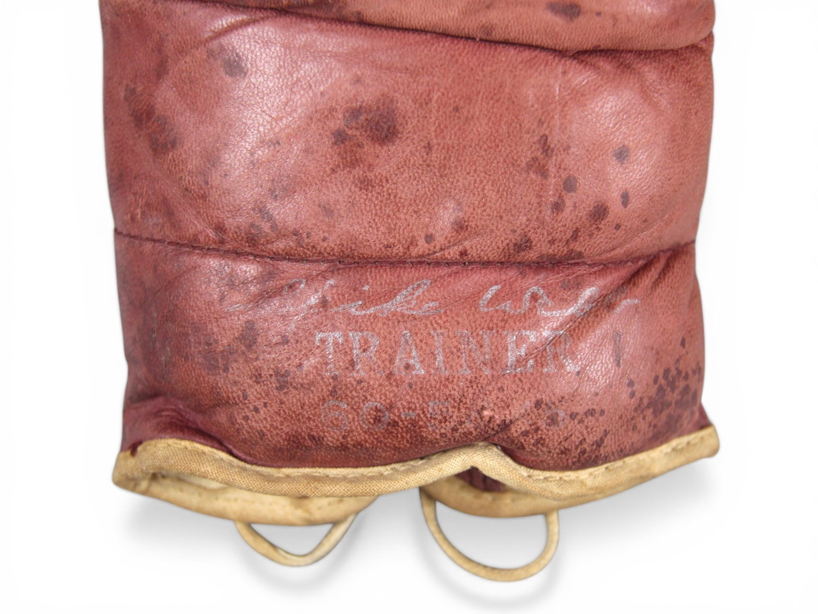 Spike Webb Boxing Trainer Gloves - 3