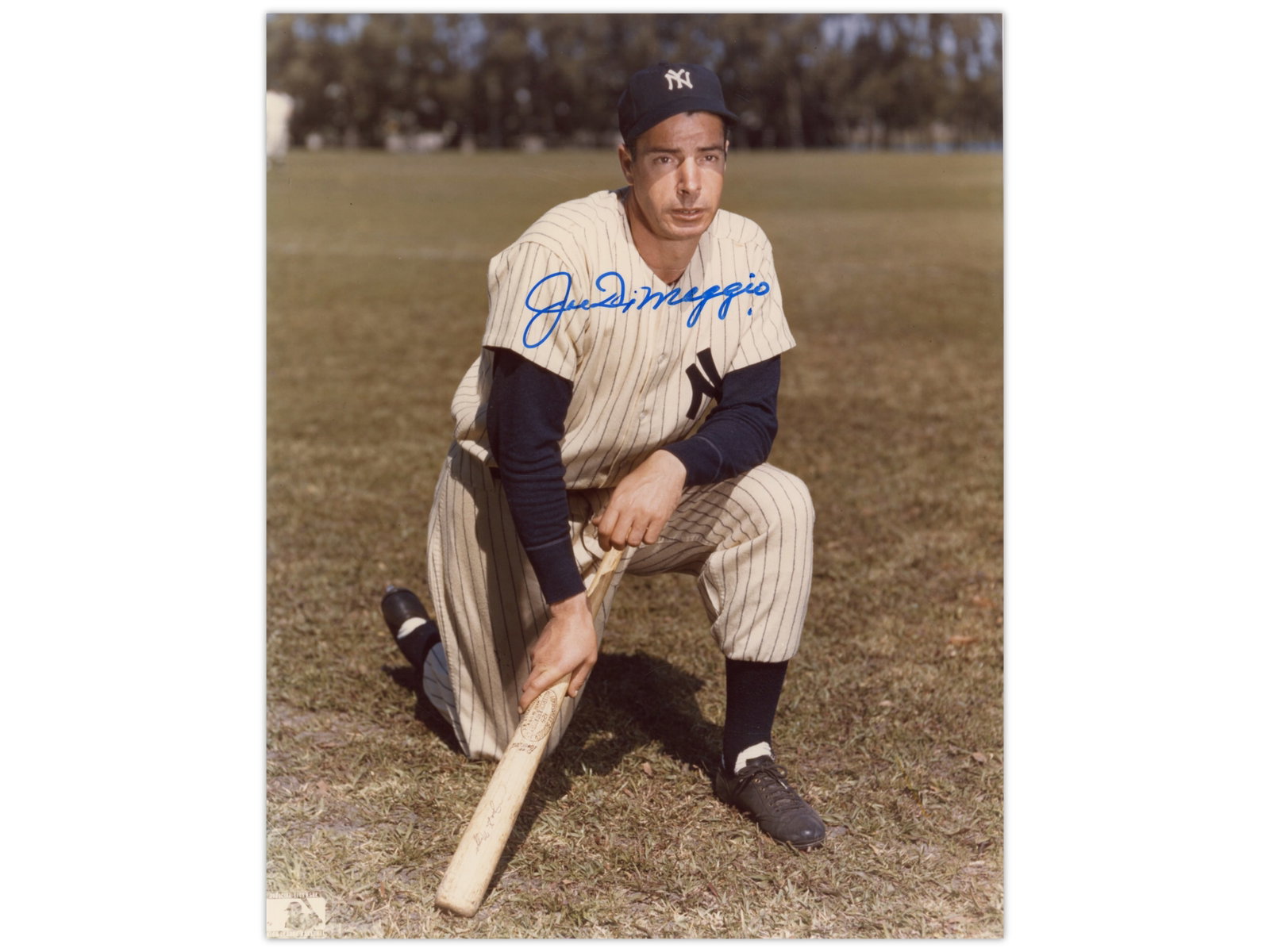 Joe DiMaggio Signed 8x10 Photo - JSA: Color 8 x 10 photograph of Joe DiMaggio posed on one knee with bat, signed across the image. DiMaggio was a New York Yankees Hall of Famer and a nine-time World Series champion. Comes with a full Lett