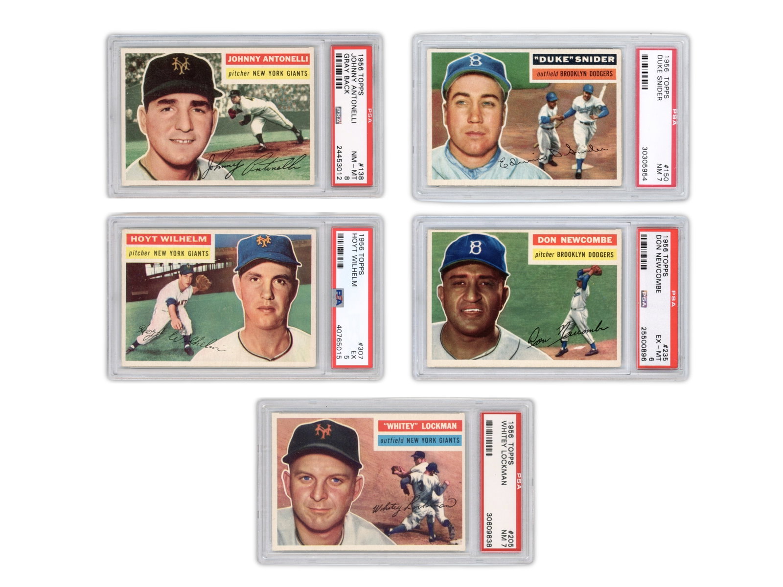 (5) 1956 Topps Baseball Graded Cards: 1956 Topps graded baseball cards including Johnny Antonelli Gray Back PSA 8, Duke Snider Gray Back PSA 7, Whitey Lockman Gray Back PSA 7, Don Newcombe Gray Back PSA 6, and Hoyt Wilhelm Gray Back PSA 5