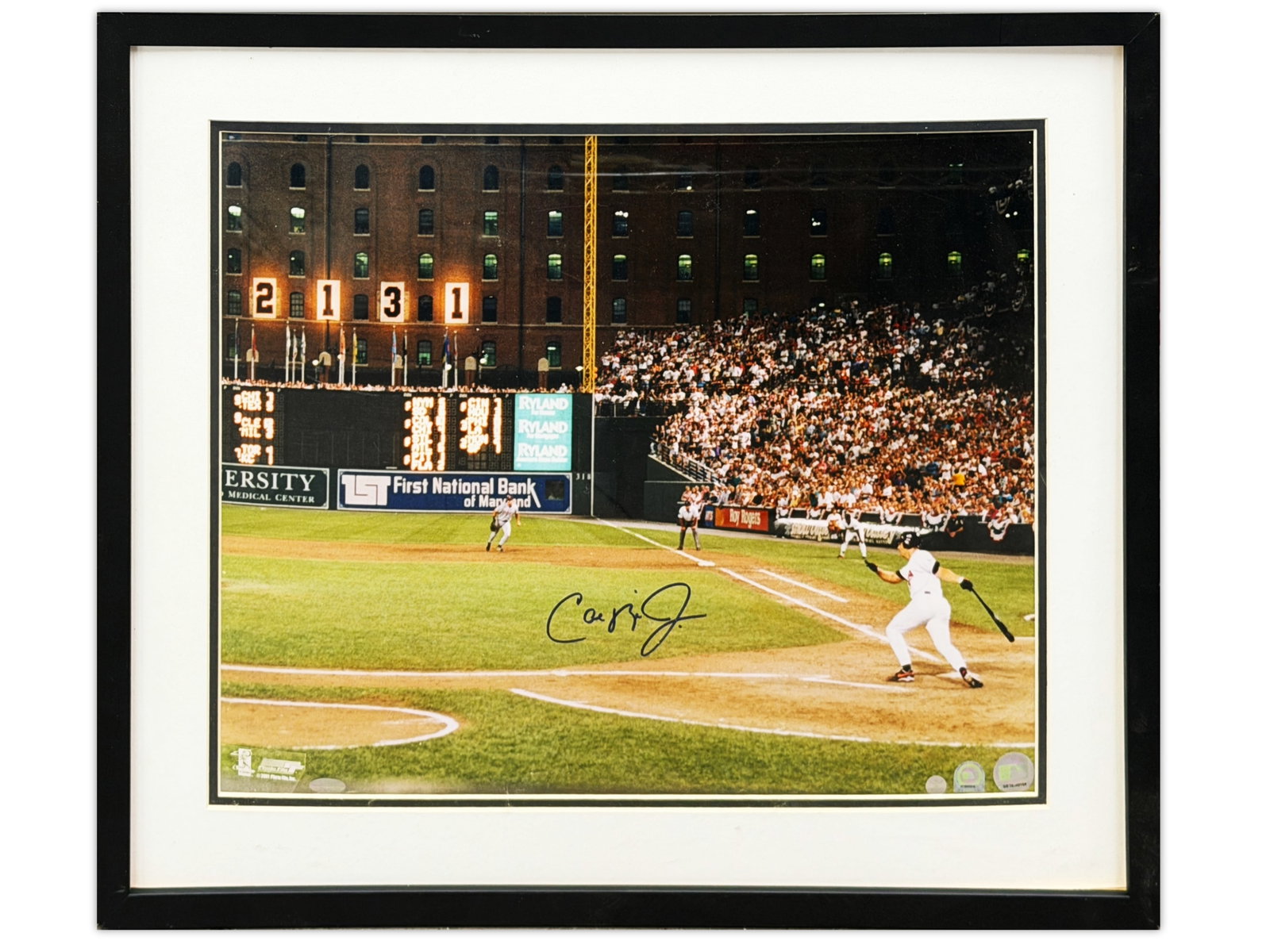 Cal Ripken Jr. Signed 16x20 - Steiner: Signed 16x20 photograph of Cal Ripken Jr., Hall of Fame shortstop and legendary Baltimore Orioles star, boldly signed and accompanied by a Steiner Certificate of Authenticity. Ripken remains one of ba