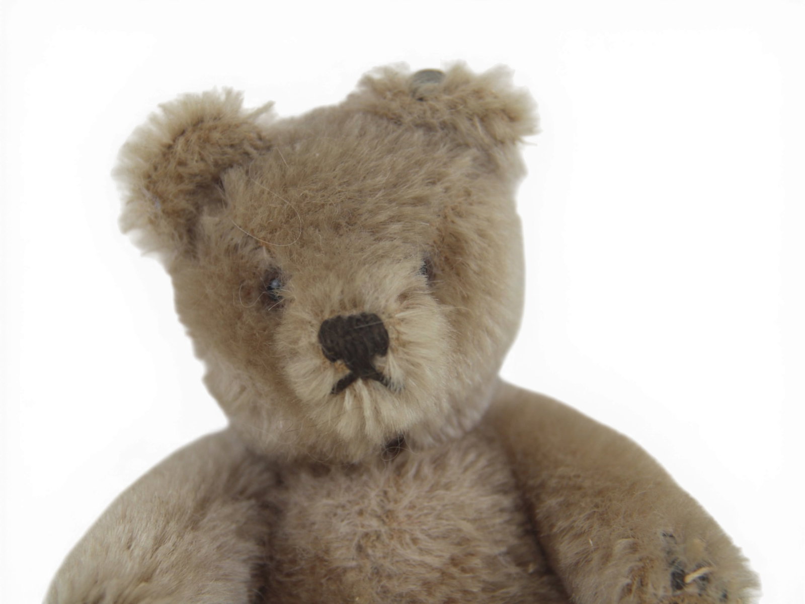 Small Steiff Mohair Teddy Bear - 2