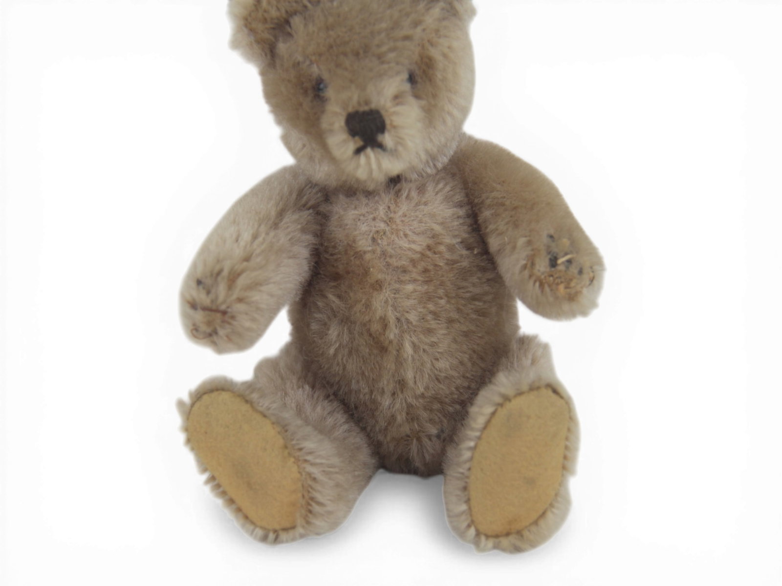 Small Steiff Mohair Teddy Bear - 3