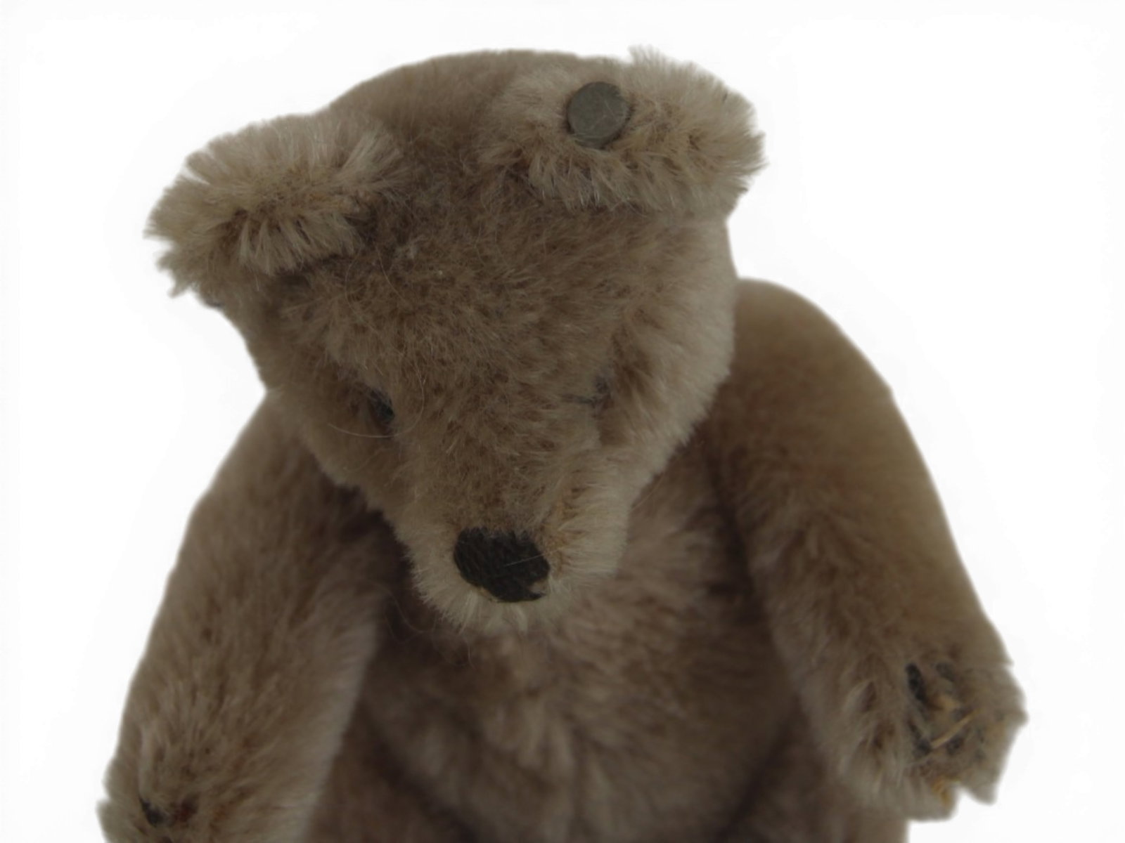 Small Steiff Mohair Teddy Bear - 4