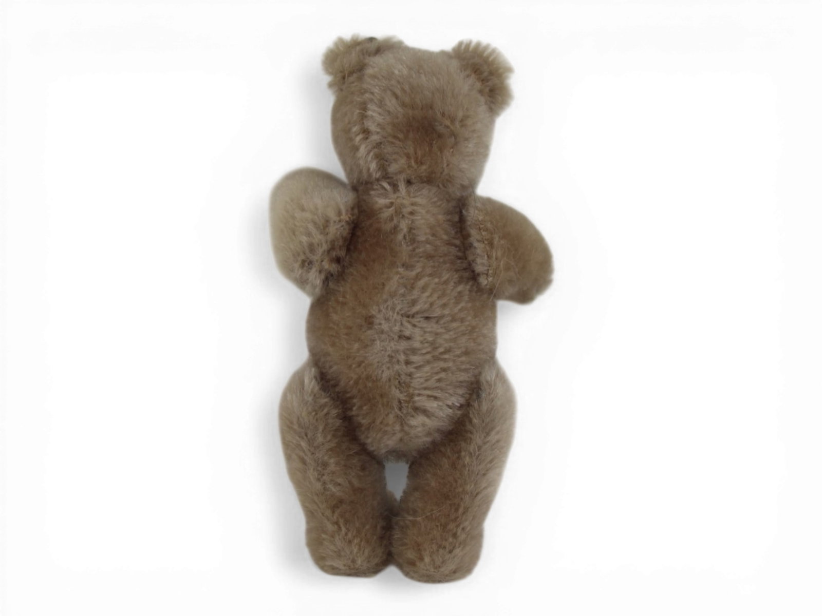 Small Steiff Mohair Teddy Bear - 7