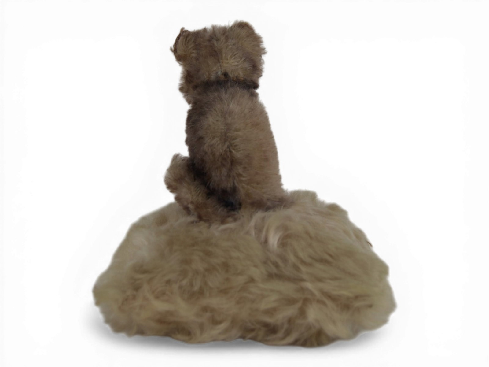 Steiff Cat on Pillow - 6