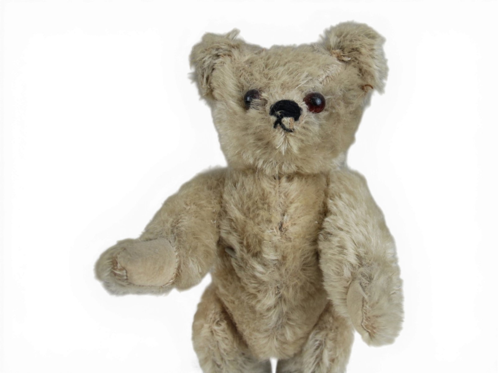 Possibly English Muzzle Teddy Bear - 2
