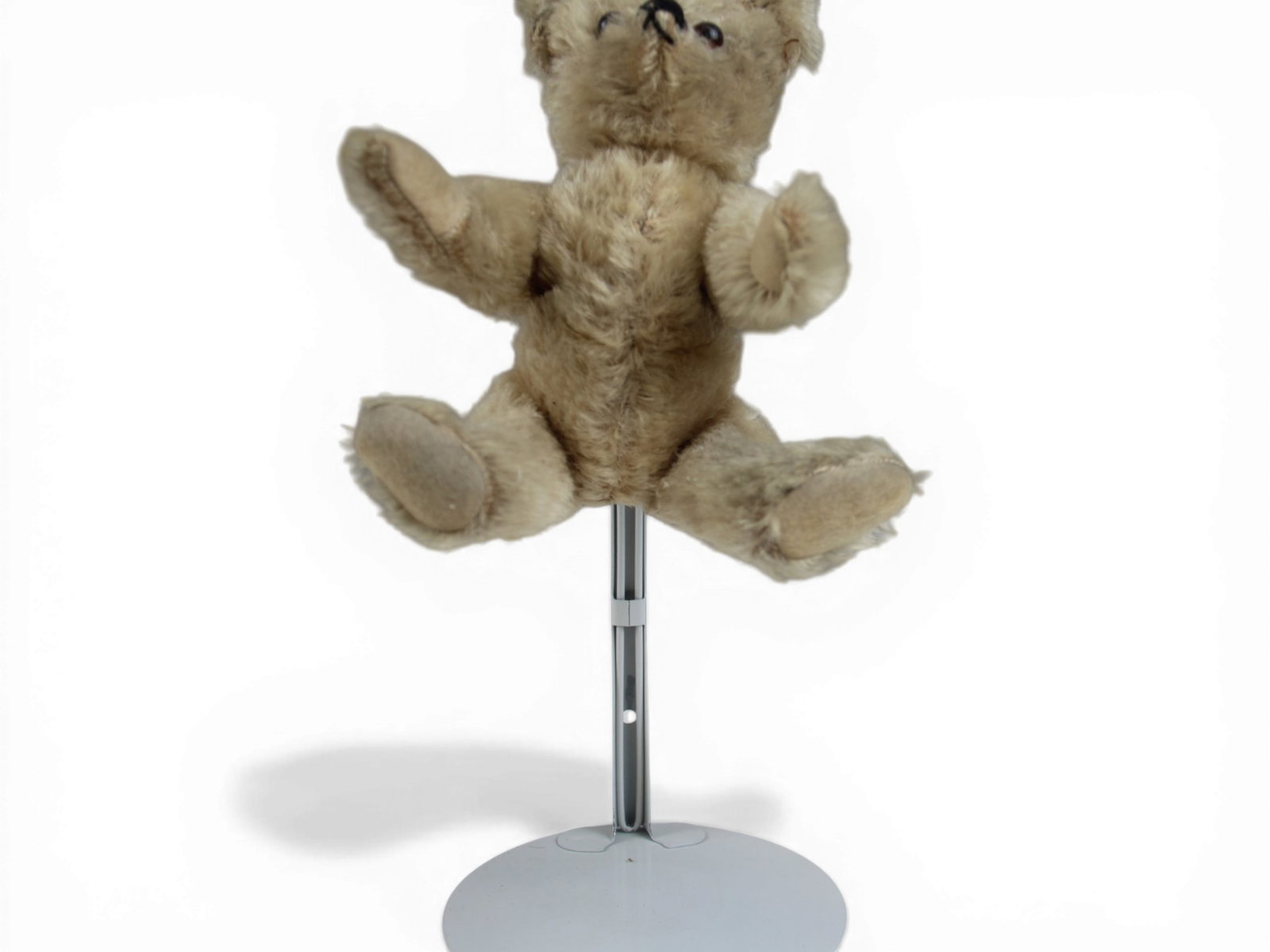 Possibly English Muzzle Teddy Bear - 3
