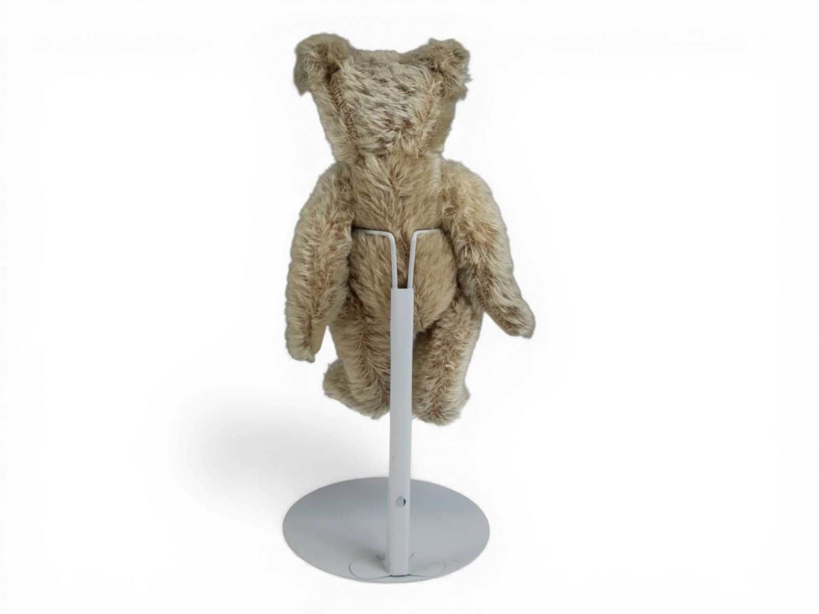 Possibly English Muzzle Teddy Bear - 4