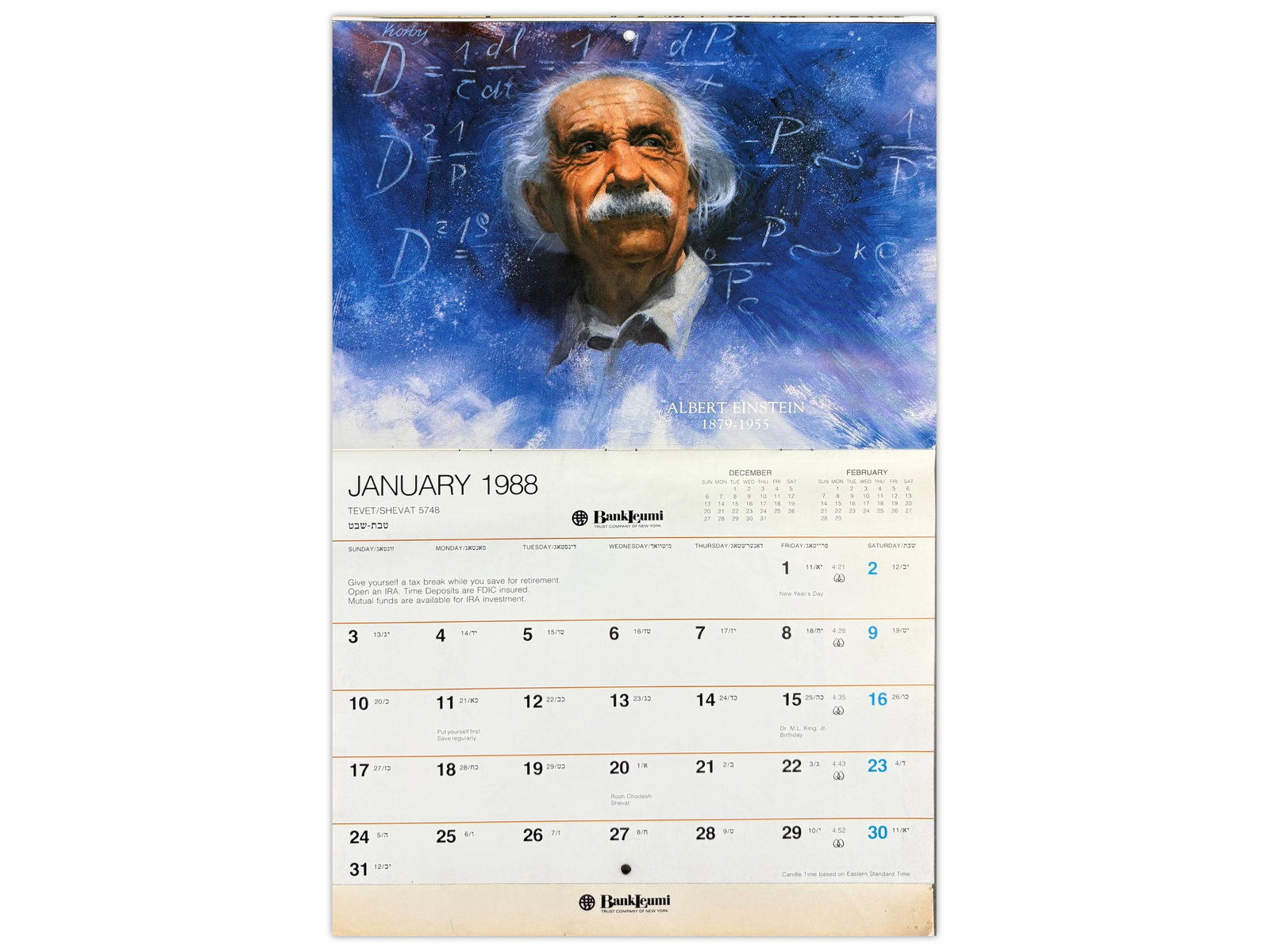 Sol Korby Albert Einstein Oil - 3