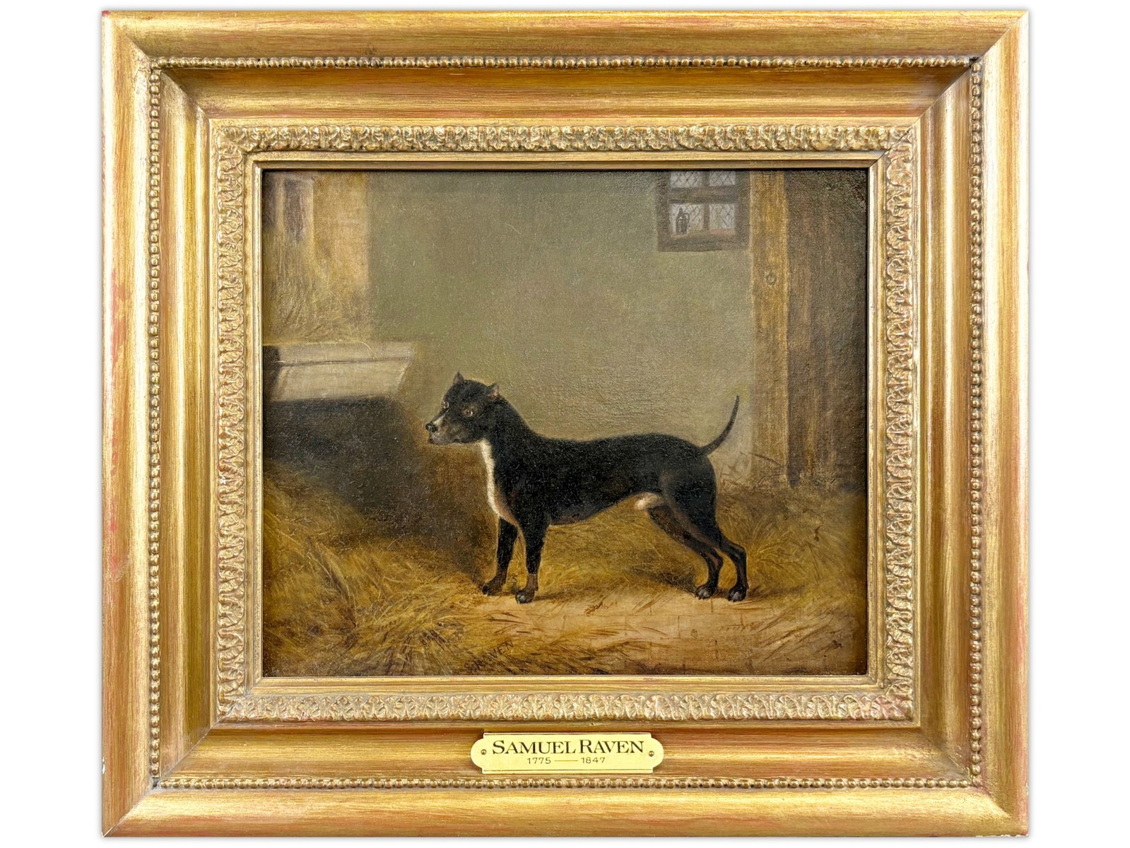 Samuel Raven, Oil on Canvas "Terrier in Barn": Samuel Raven (English, 1775 - 1847) oil on canvas depicting a black and white Staffordshire terrier standing in a barn interior. Signed lower edge. Retains label verso from William Secord Gallery, New