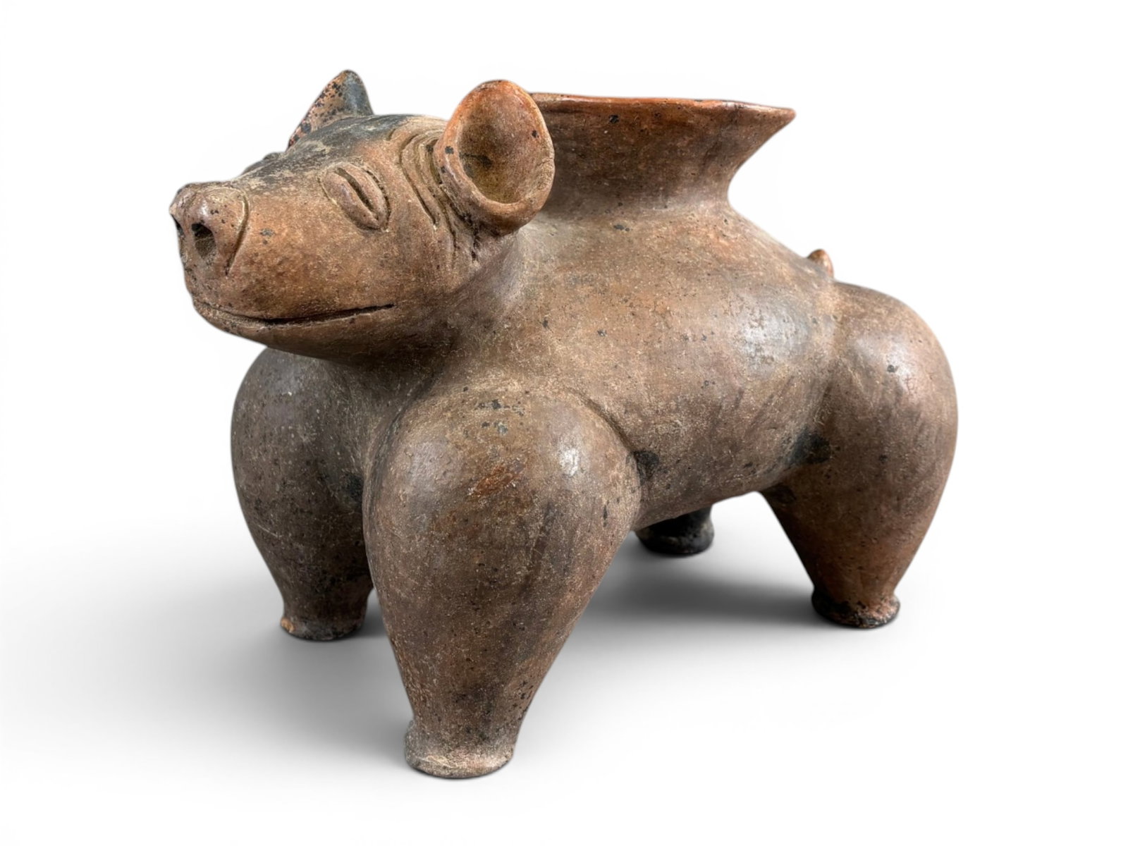 Pre Columbian Dog Vessel (1 of 7)