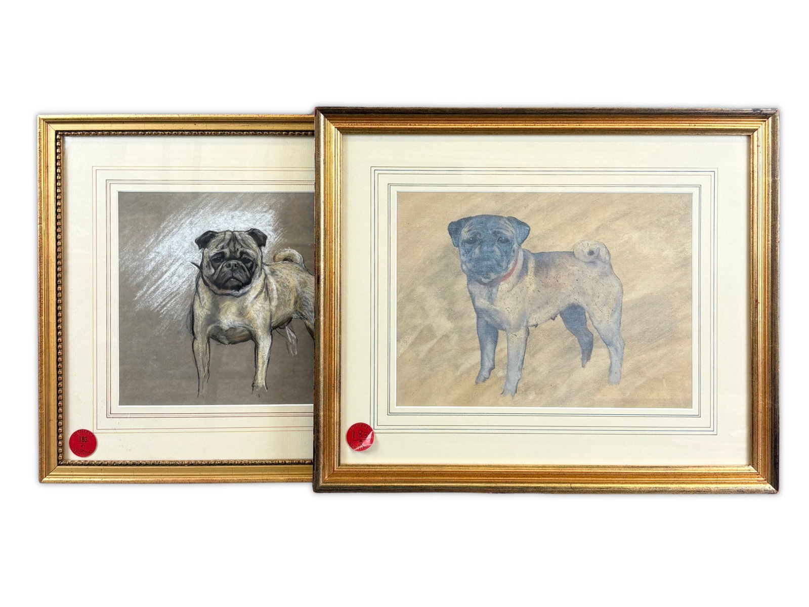 Pug Pastel Drawing with Preliminary (1 of 3)