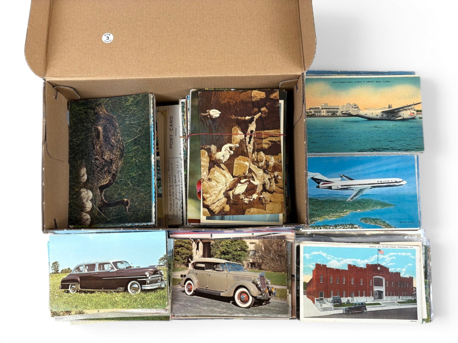 Postcard Lot, Autos, Aviation, and Animals: Mixed postcard lot including Autos, Aviation, and Animals. Examine Shipping: Weiss Auctions offers full-service, in-house shipping for nearly all items in this auction. For a shipping quote, please co