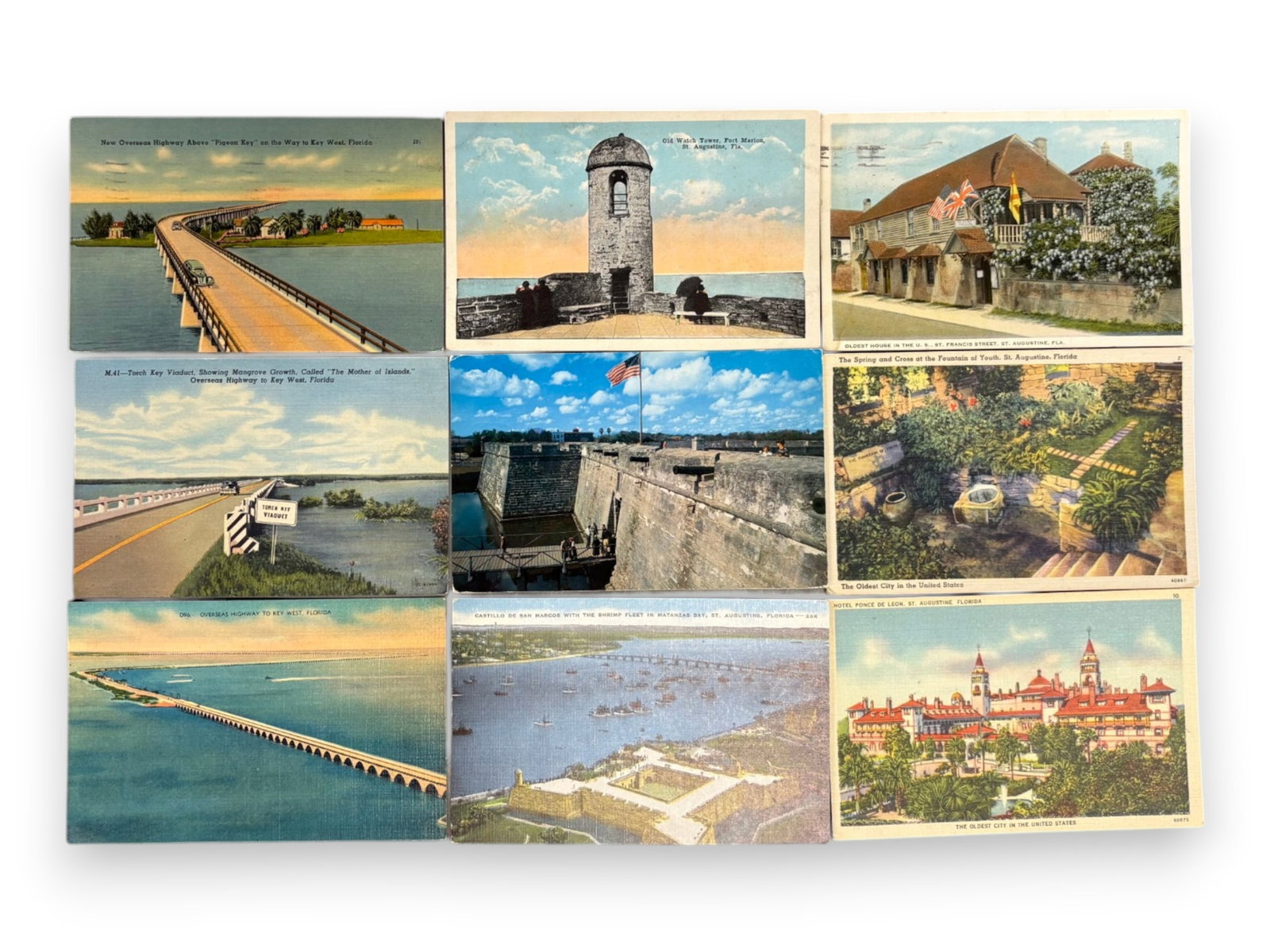 Florida Postcard Collection - 3