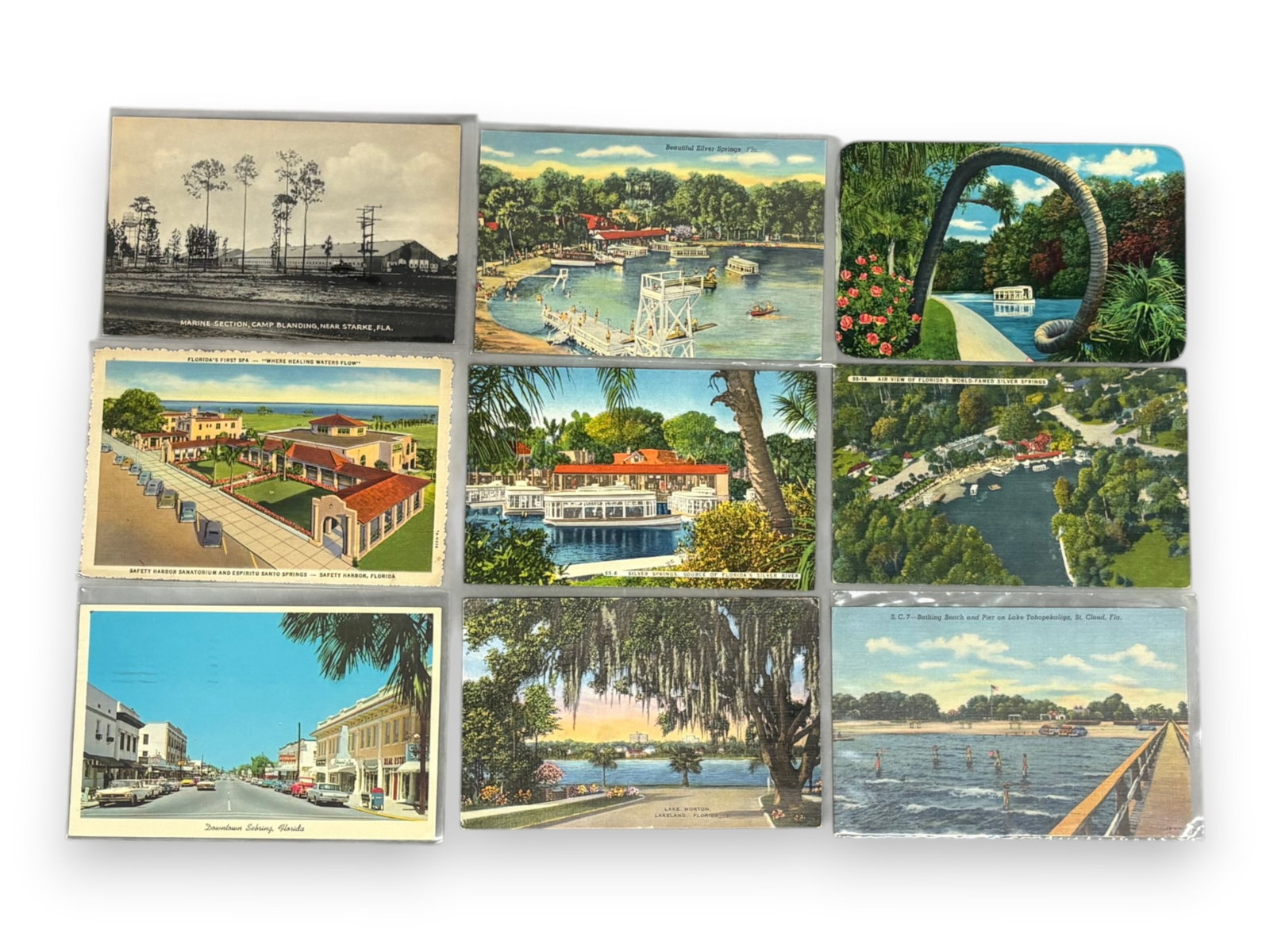 Florida Postcard Collection - 5