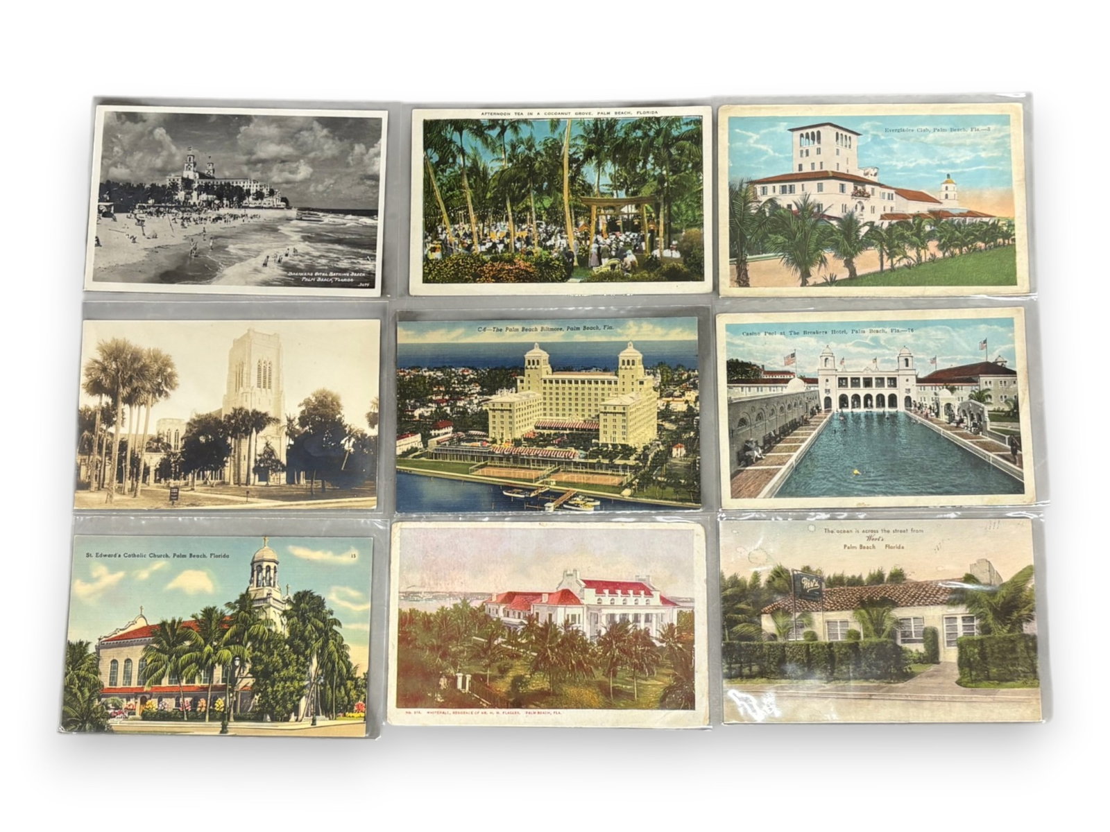 Florida Postcard Collection - 6