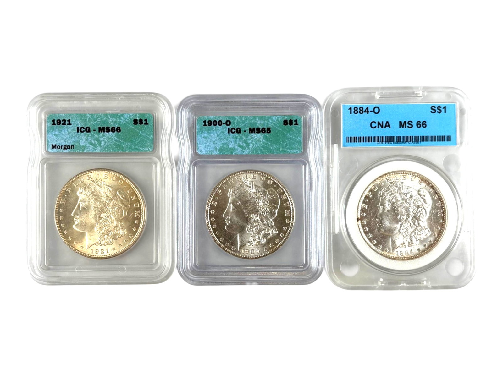 (19) Graded Morgan Dollars - 10