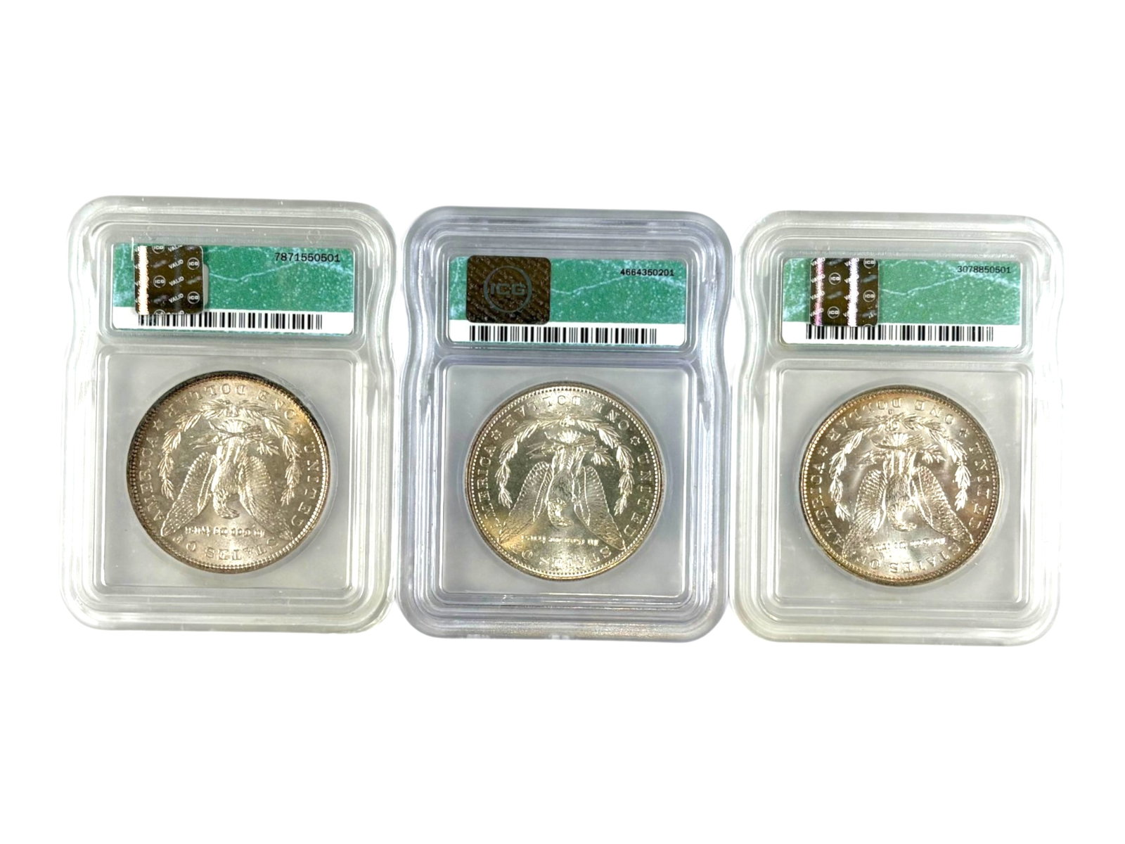 (19) Graded Morgan Dollars - 12