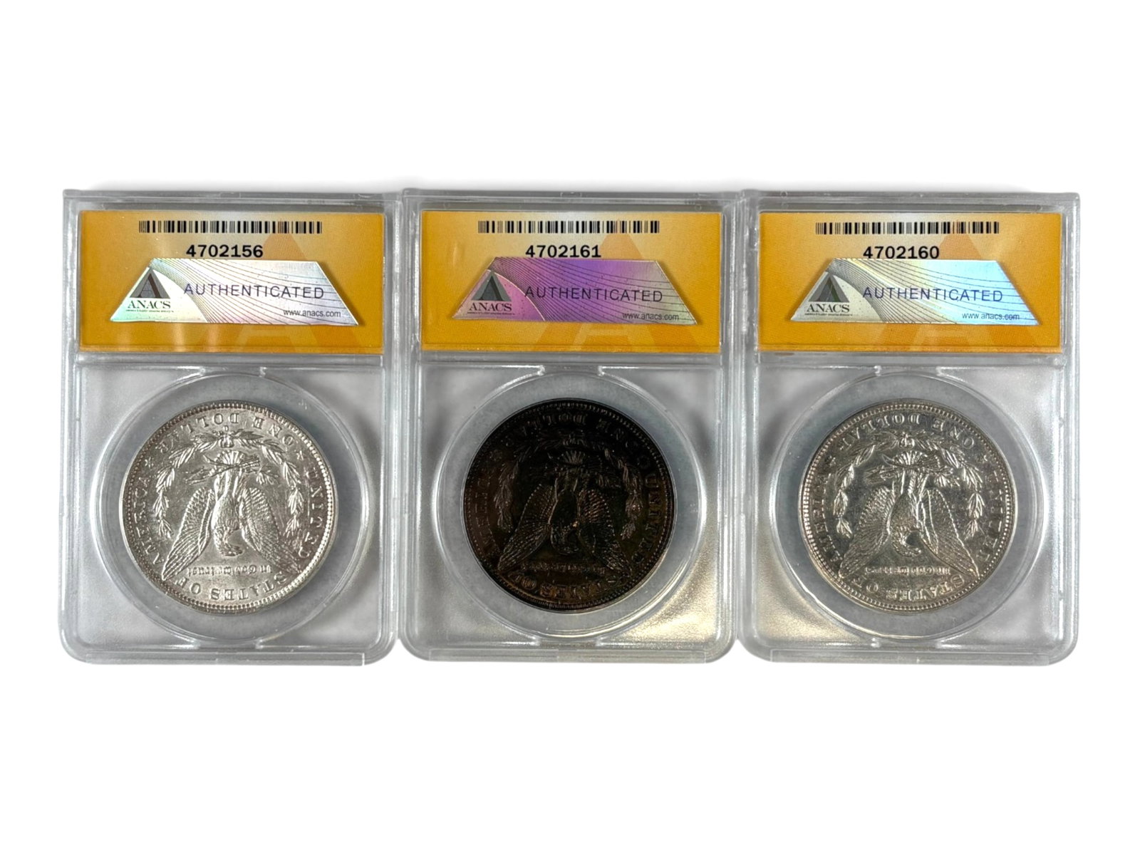 (19) Graded Morgan Dollars - 3