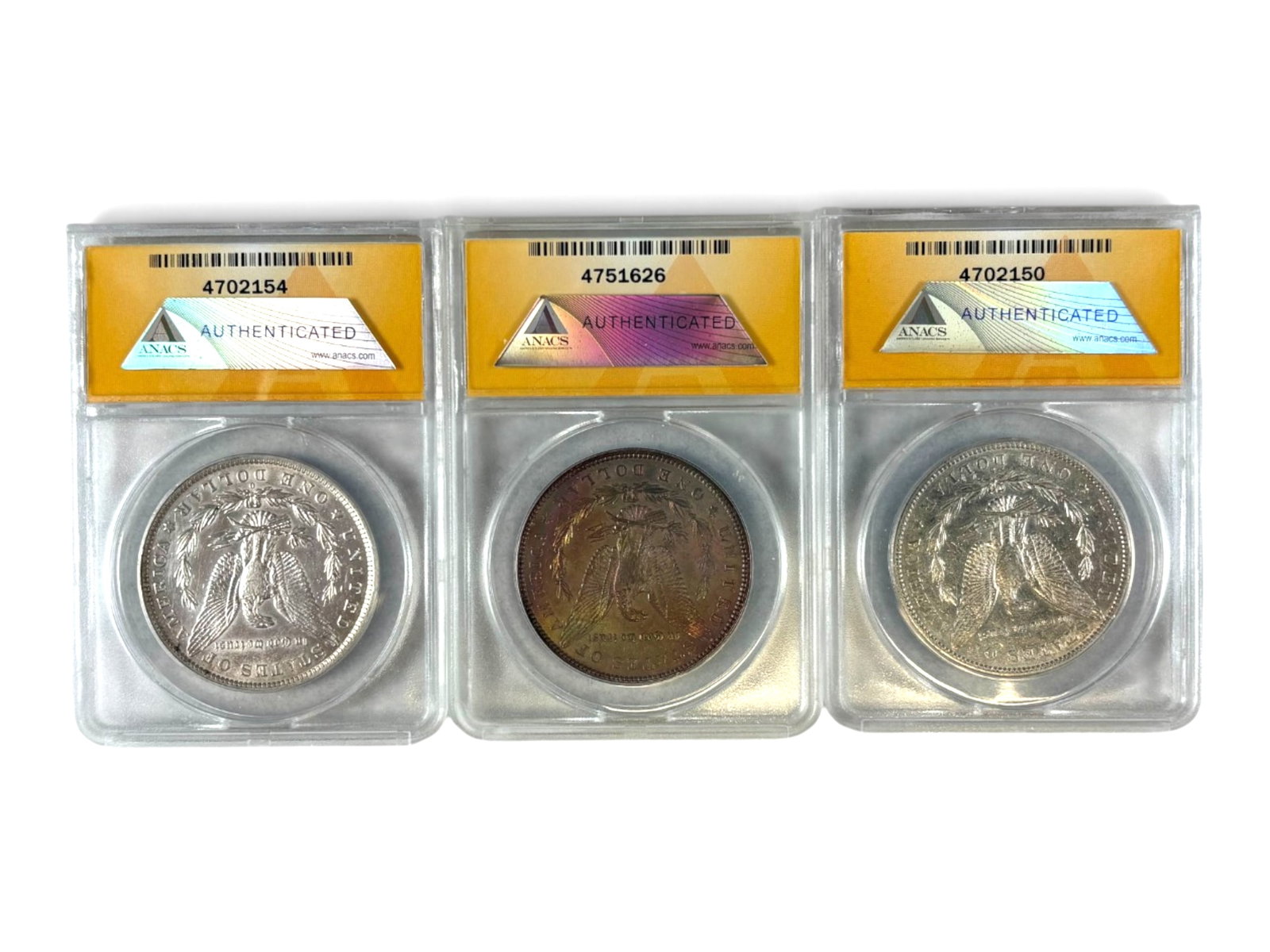 (19) Graded Morgan Dollars - 5